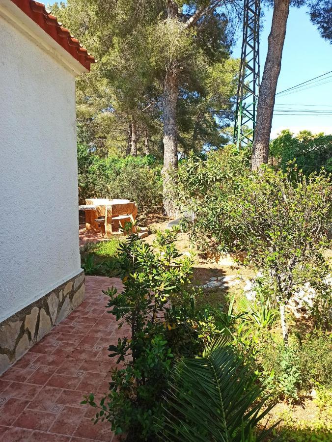 Javea Villa El Nido 10-15P Pool Minimaal 10 Nachten Geen Groep Jongelui ภายนอก รูปภาพ